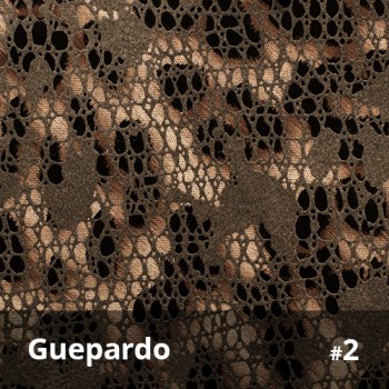Guepardo 2